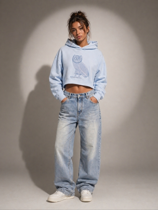 OVO Tops - OVO October's Very Own Drake Owl Hoodie Cropped Light Blue Women's Sz L